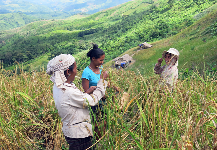 Đồn Biên phòng cửa khẩu Quốc tế Cha Lo: Phát huy vai trò công tác dân vận trong bảo vệ an ninh biên giới