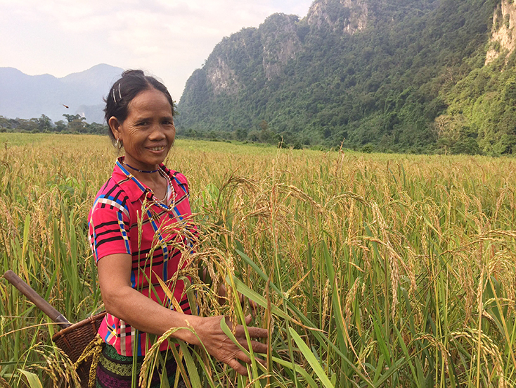 Quảng Ninh: Tập trung phát triển kinh tế các xã miền núi, biên giới