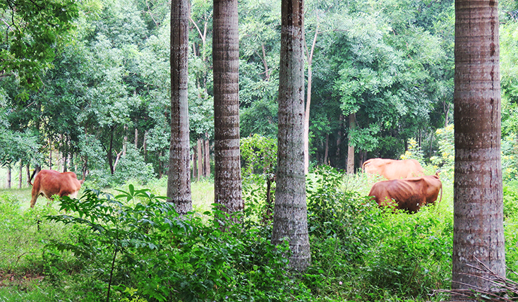 Đồng Hới: Vì sao việc đầu tư xây dựng công viên Đồng Sơn bị dở dang?