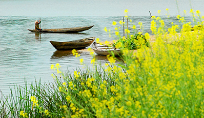 Bâng khuâng mùa đông...