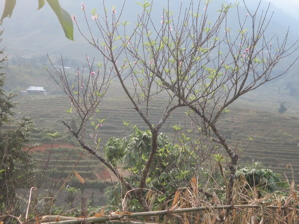 Phía Bắc các tỉnh Thanh Hóa đến Thừa Thiên-Huế có mưa rải rác