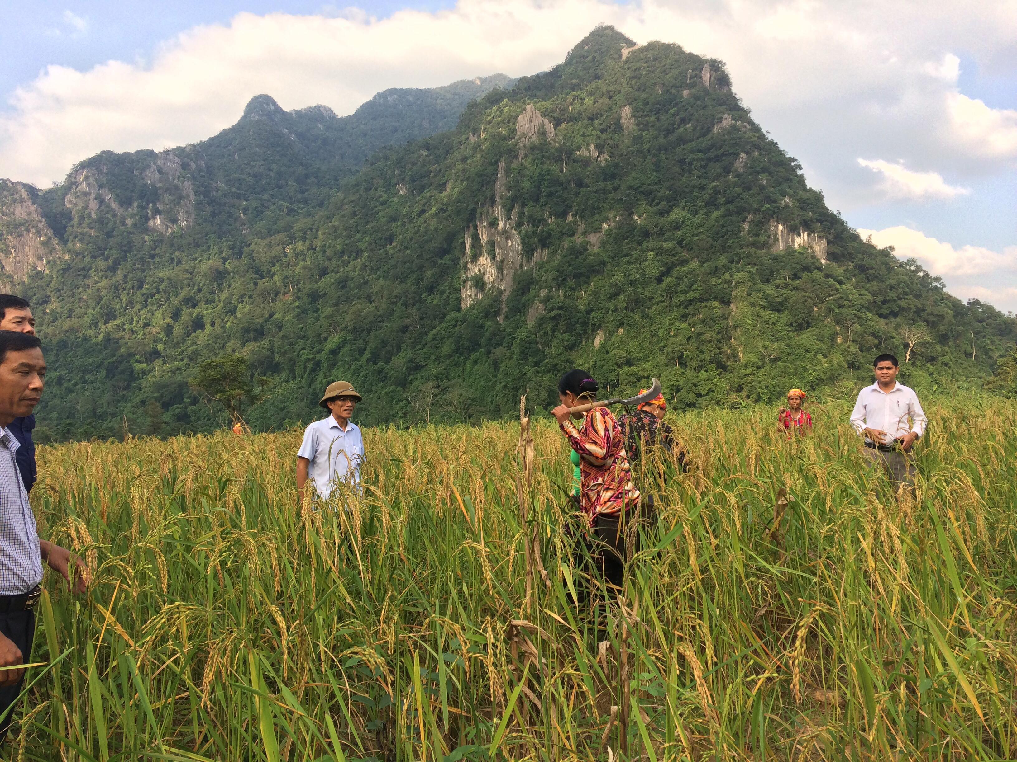 Quảng Ninh: Thực hiện các chính sách hỗ trợ phát triển kinh tế