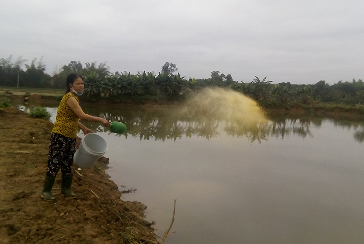 Làm giàu từ mô hình trang trại tổng hợp