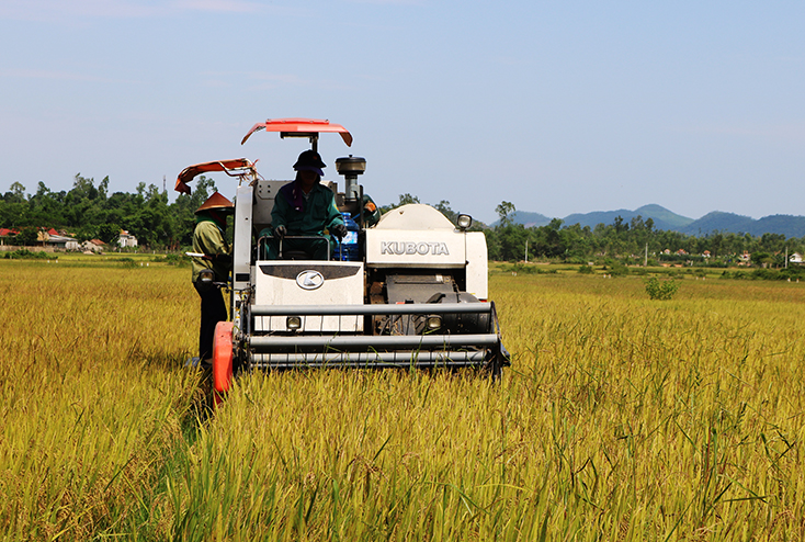 Huyện ủy Tuyên Hóa: Đẩy mạnh công tác kiểm tra, giám sát