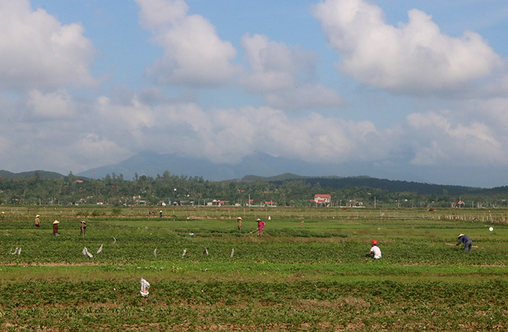 Quảng Trạch:  Chủ động ứng phó với thiếu nước vụ Đông-Xuân