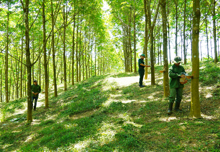 Dấu chân người lính