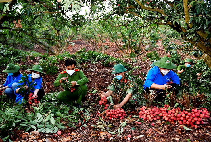 Phòng, chống sự xuyên tạc, phủ nhận vai trò lãnh đạo của Đảng đối với quân đội