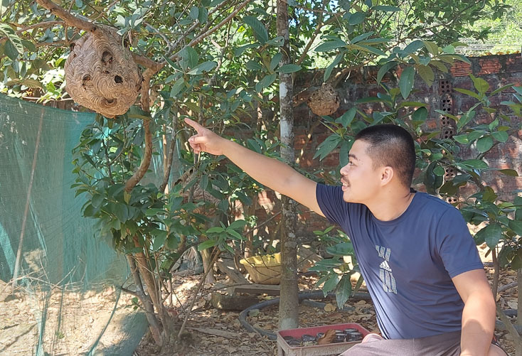 Tuyên Hóa: Bé 5 tuổi nguy kịch do bị ong vò vẽ đốt