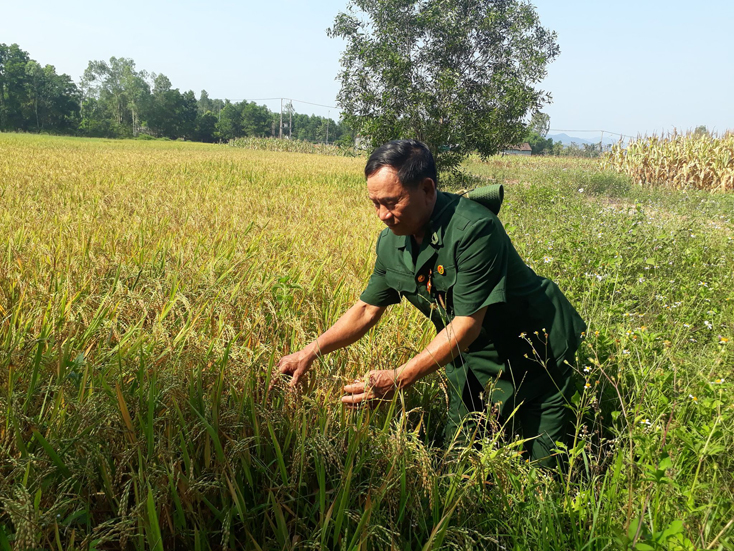 Người thương binh vui thú điền viên