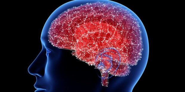 Phát hiện về cơ chế trong não bộ thúc đẩy bệnh Alzheimer