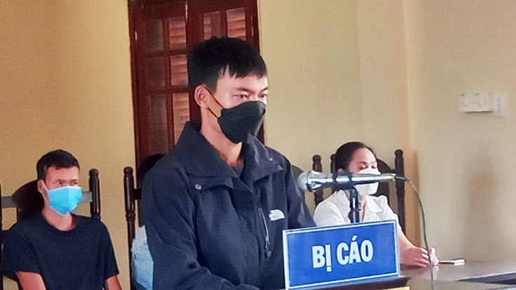 Minh Hóa: Đối tượng hủy hoại rừng lĩnh án 18 tháng tù