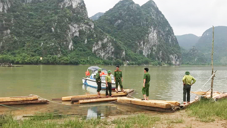 Nắm chắc địa bàn cơ sở, bảo vệ rừng tại gốc