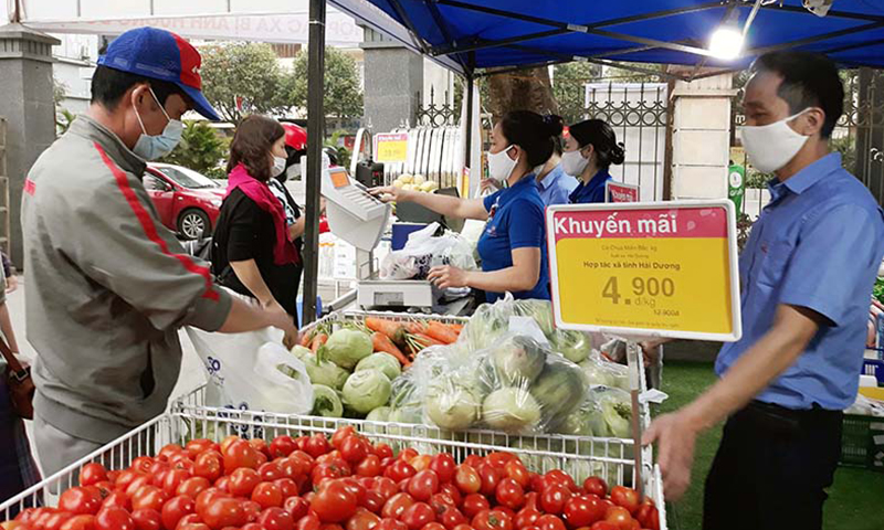 Thúc đẩy sản xuất, lưu thông, tiêu thụ và xuất khẩu nông sản