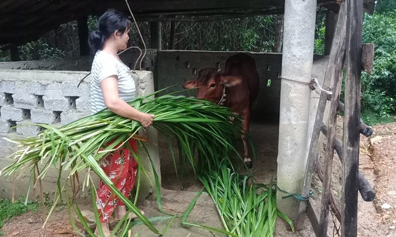 "Điểm tựa" cho nông dân