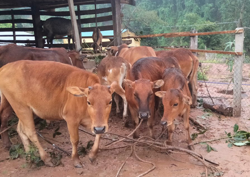 Người cán bộ tận tâm với công tác giảm nghèo