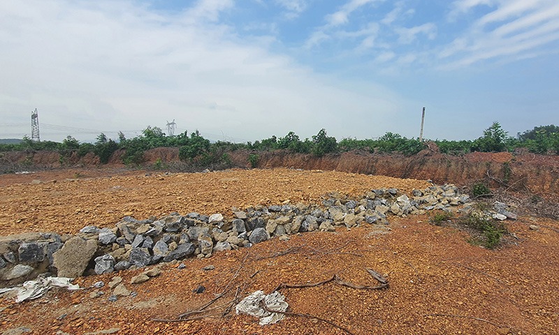 Quản lý đất rừng tại Chi nhánh Lâm trường Vĩnh Long: Tập trung xử lý dứt điểm các tồn tại