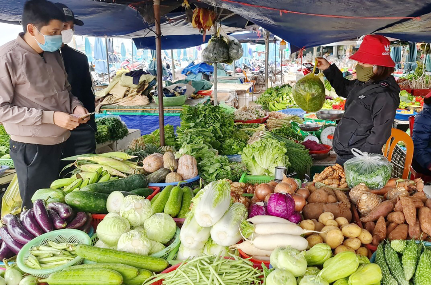 Giá rau xanh tăng cao, người tiêu dùng lo ngại