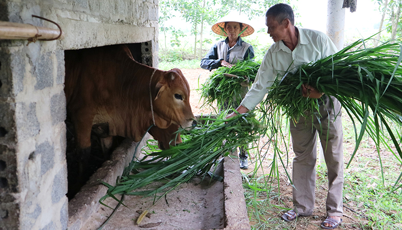 Rà soát hộ nghèo, định hướng giảm nghèo bền vững