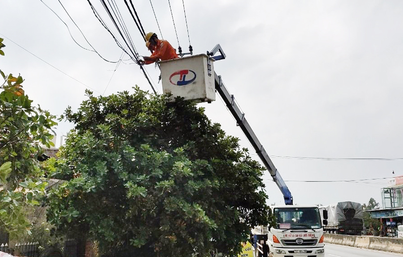 Phối hợp chỉnh trang cáp viễn thông treo trên cột điện