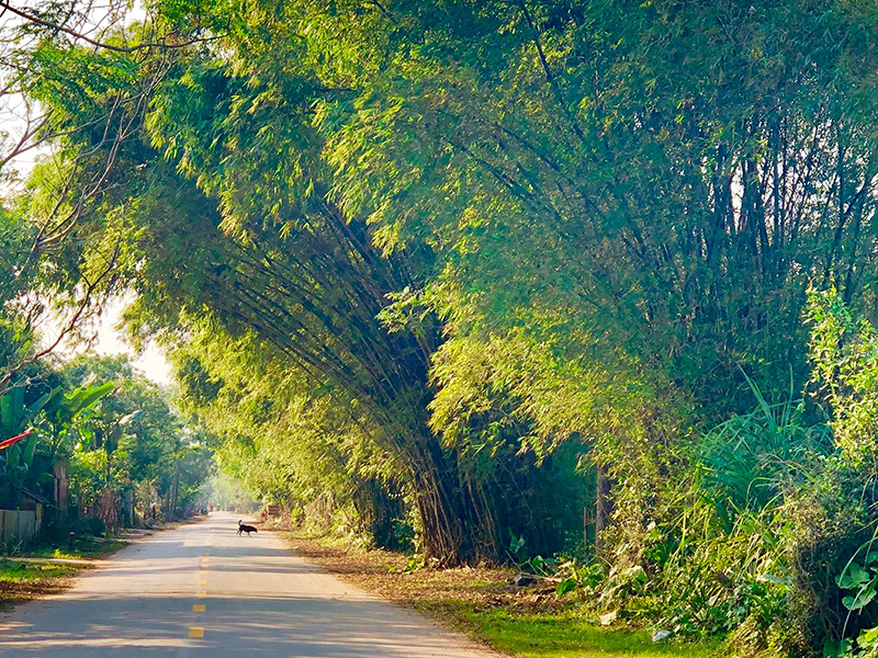 "Bao nhiêu cái nắng để làm khô một dòng sông"