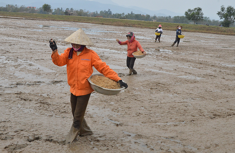 Các sở, ban, ngành trả lời kiến nghị của cử tri