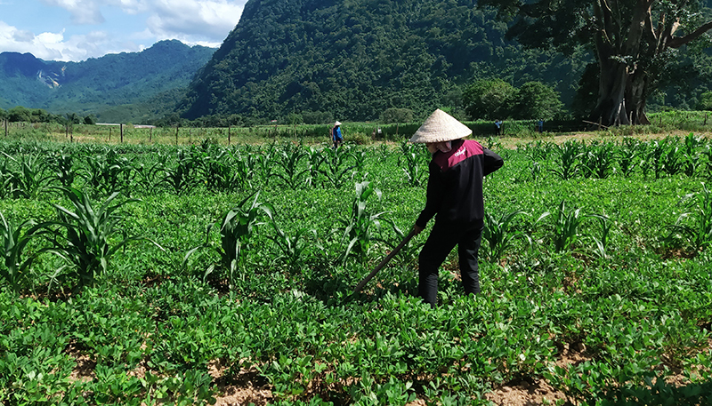 Phát huy vai trò lãnh đạo của Đảng trong phát triển kinh tế-xã hội