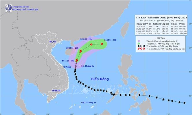 Ứng phó với bão số 9, sớm phục hồi sản xuất