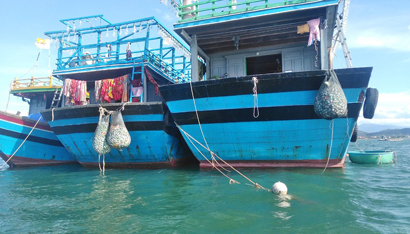 Tàu cá xa bờ... gom rác thải