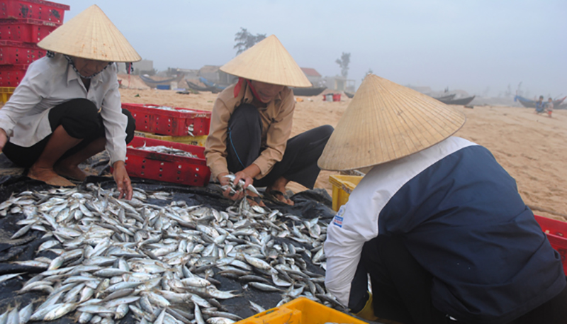 Phát huy tinh thần "Tuổi cao, gương sáng"