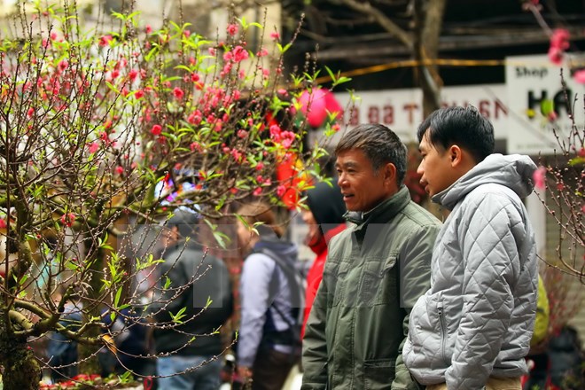 Tăng cường các biện pháp bảo đảm đón Tết Nguyên đán Nhâm Dần 2022 vui tươi, lành mạnh, an toàn, tiết kiệm