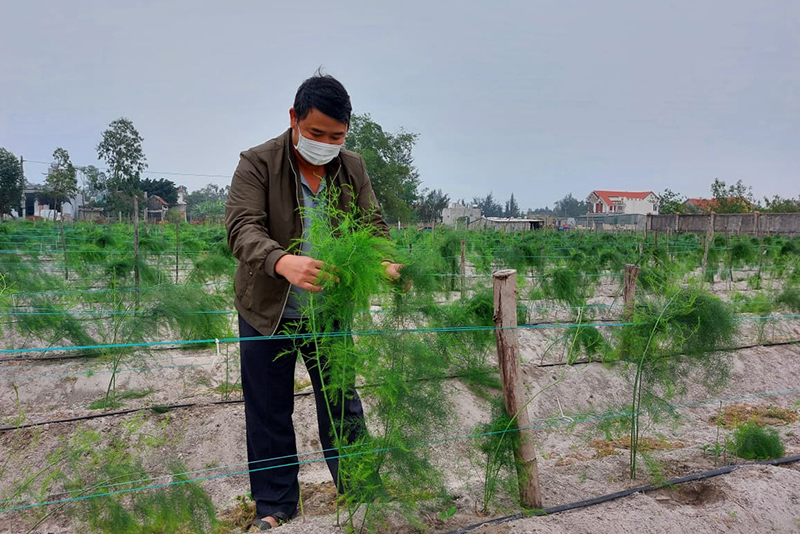 Quảng Trạch: Khi nông dân tham gia xây dựng nông thôn mới
