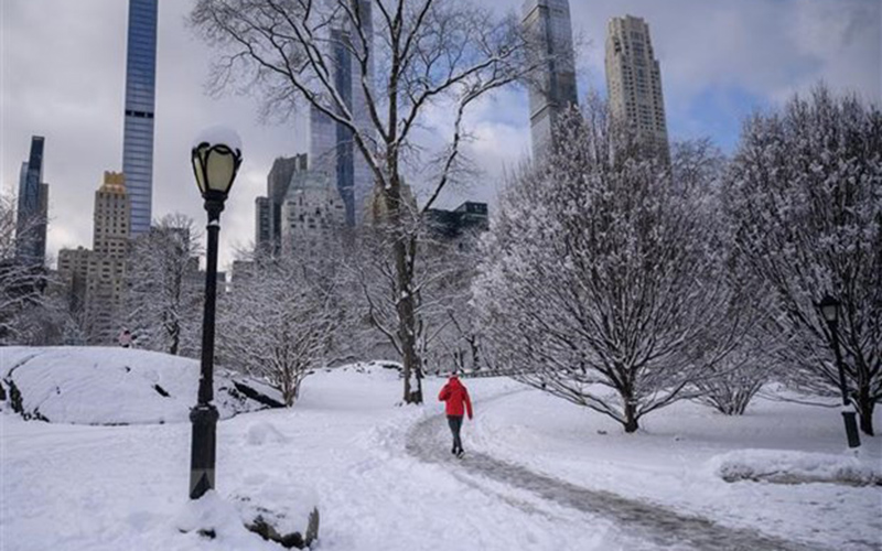 Mỹ: Nhiều bang tuyên bố tình trạng khẩn cấp do bão tuyết