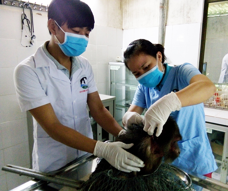 Viện trợ hơn 1,7 tỷ đồng để cứu hộ, bảo tồn và tái thả động vật tại VQG Phong Nha - Kẻ Bàng