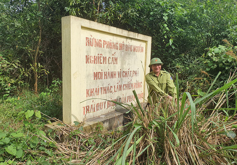 Cho rừng xanh trở lại