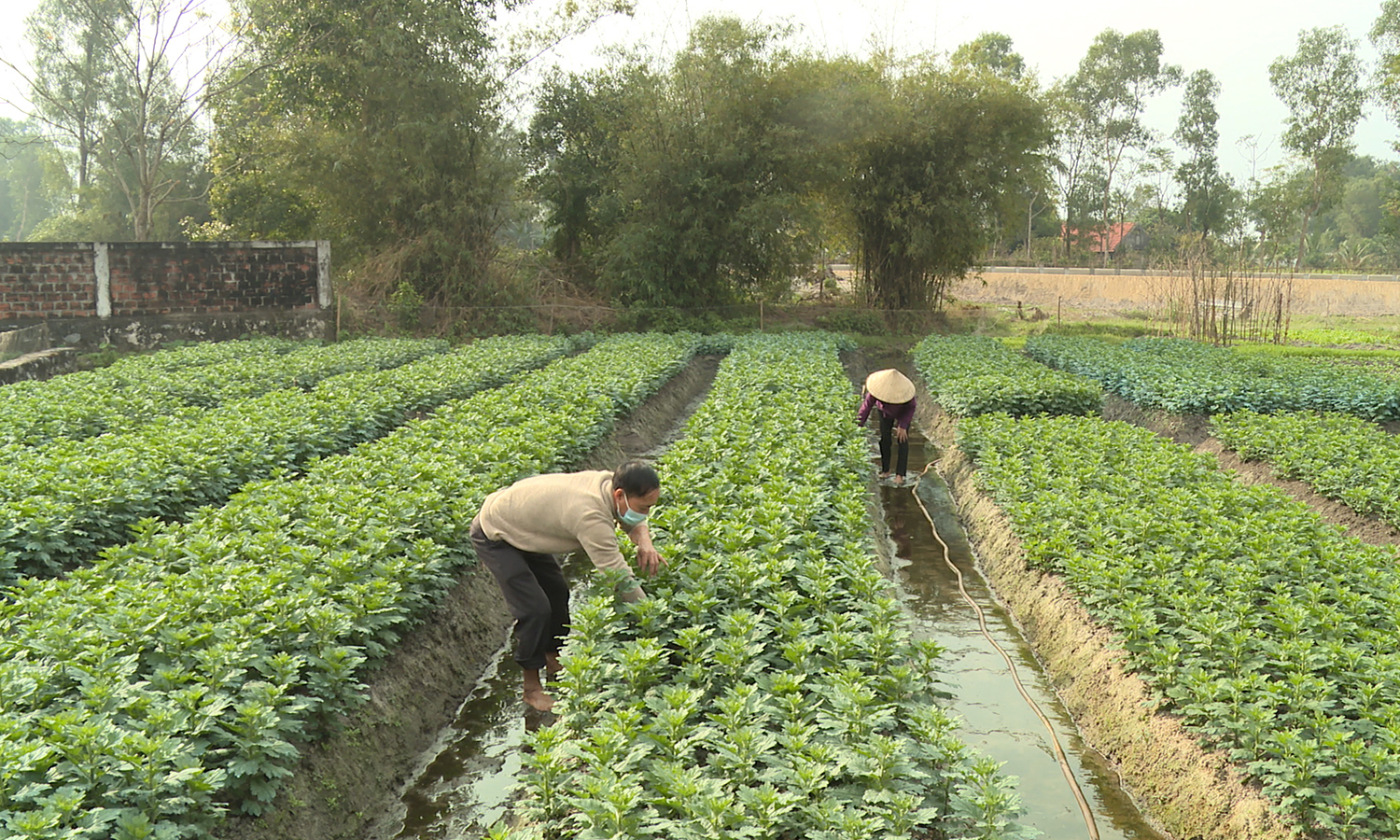 TX. Ba Đồn: Chú trọng phát triển kinh tế, tăng thu nhập cho người dân