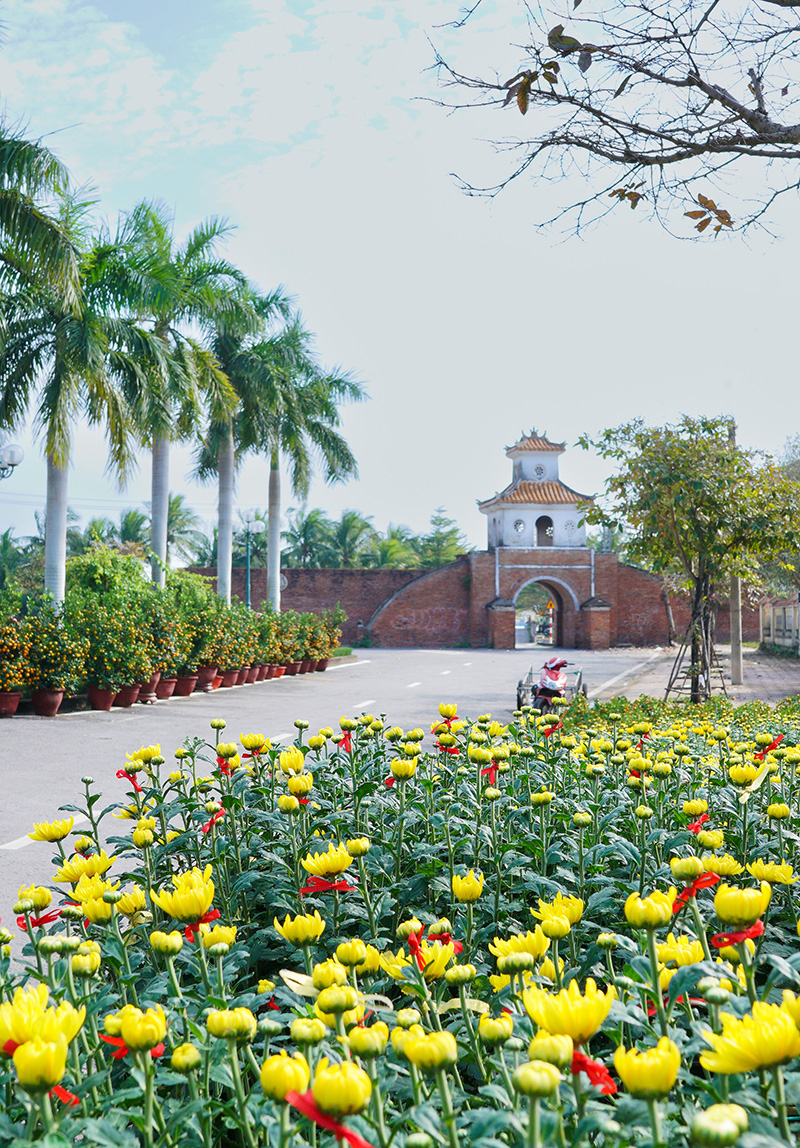 Sống là hy vọng!