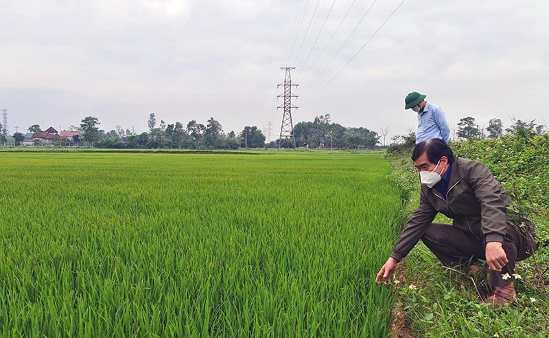 Bảo đảm nguồn nước phục vụ sản xuất