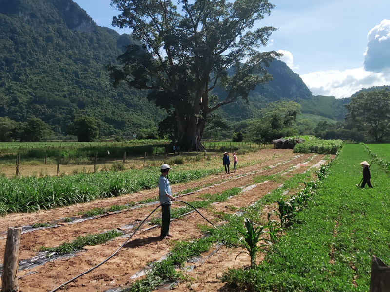 Tăng cường sự lãnh đạo của Đảng đối với công tác giảm nghèo