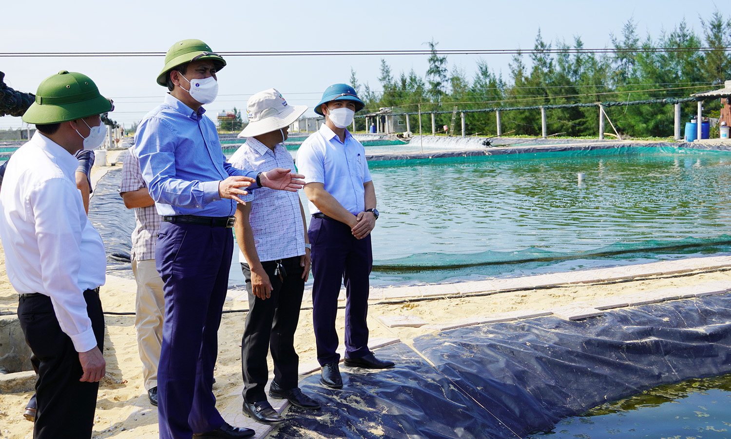 Đồng chí Chủ tịch UBND tỉnh kiểm tra các mô hình sản xuất nông nghiệp hiệu quả cao ở Bố Trạch