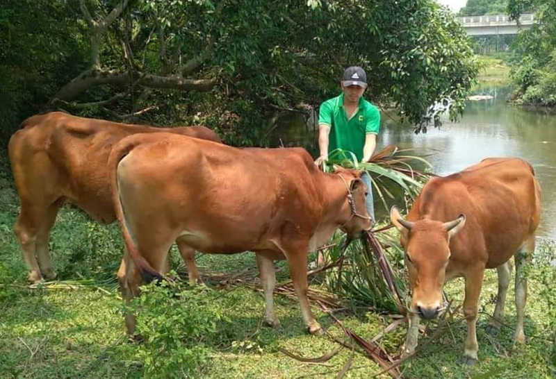 Xây dựng mô hình sinh kế cho công an viên