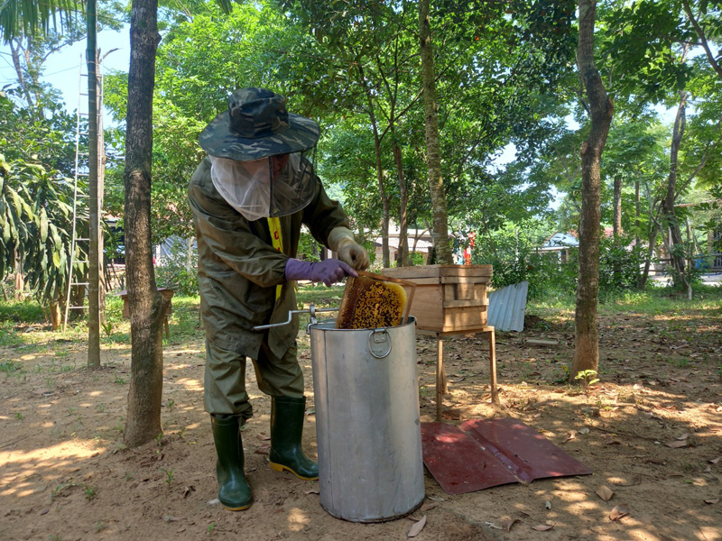 Hành trình miệt mài