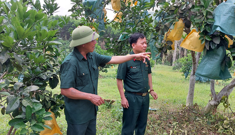 Phát huy truyền thống "Bộ đội Cụ Hồ"