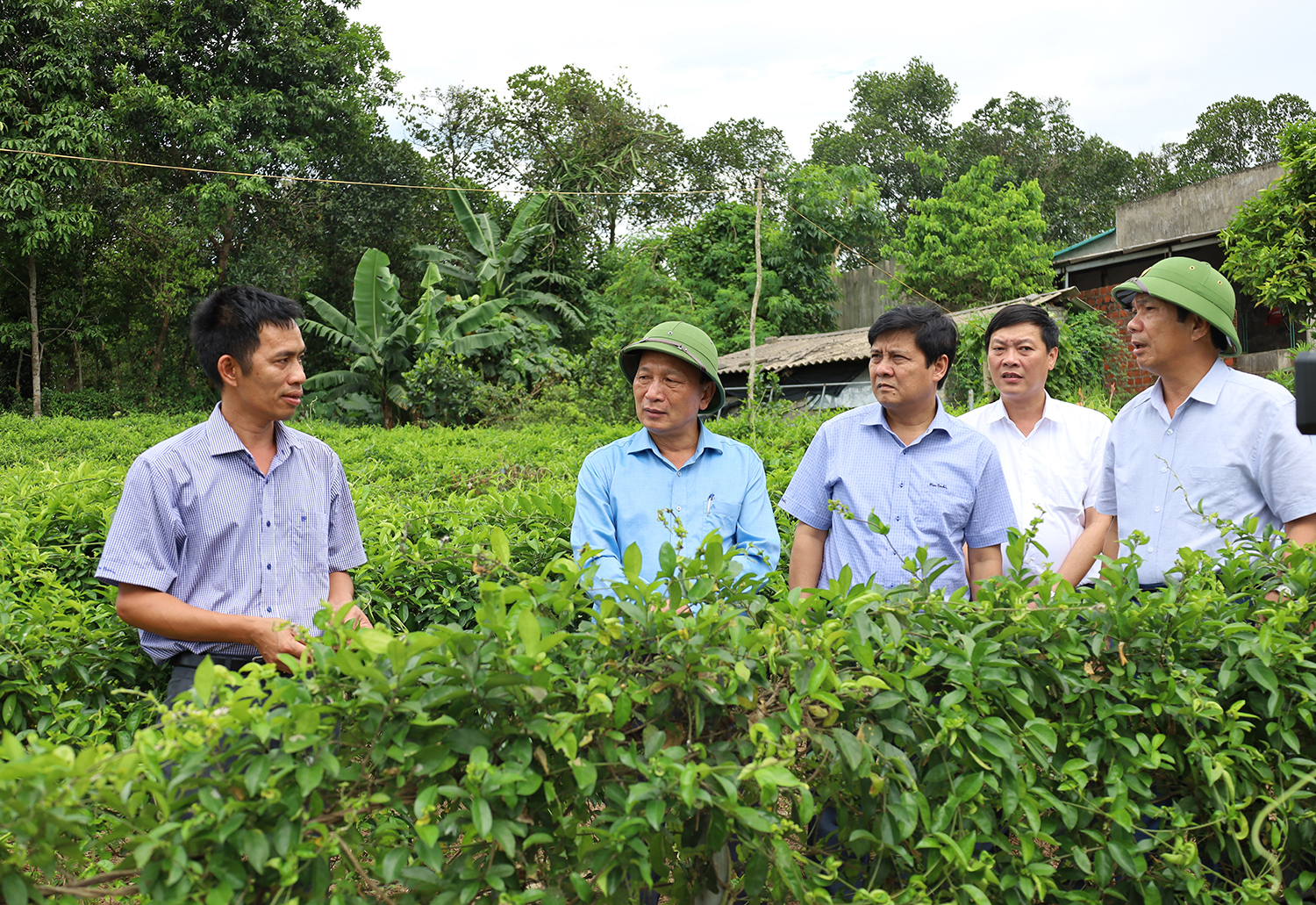 Đồng chí Phó Bí thư Thường trực Tỉnh ủy kiểm tra tình hình sản xuất tại huyện Bố Trạch