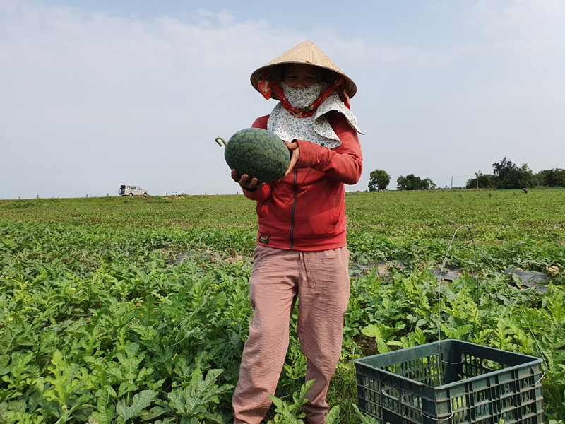 Đồng hành cùng hội viên phát triển kinh tế