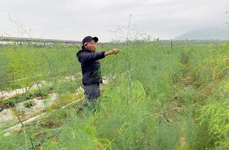 Làm giàu từ nguồn vốn tín dụng chính sách