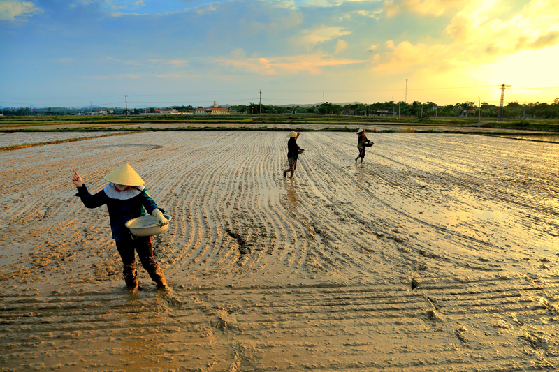 Quảng Bình muôn vẻ