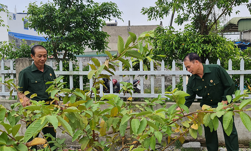 Gương sáng cựu chiến binh