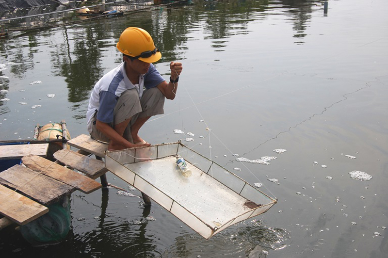 Tăng cường kiểm soát giết mổ động vật trên cạn, quản lý buôn bán thuốc thú y và phòng, chống dịch bệnh thủy sản