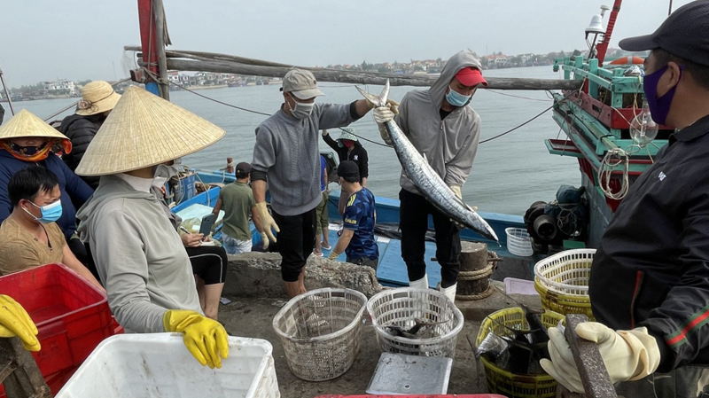 Vang mãi khúc ca rừng và biển