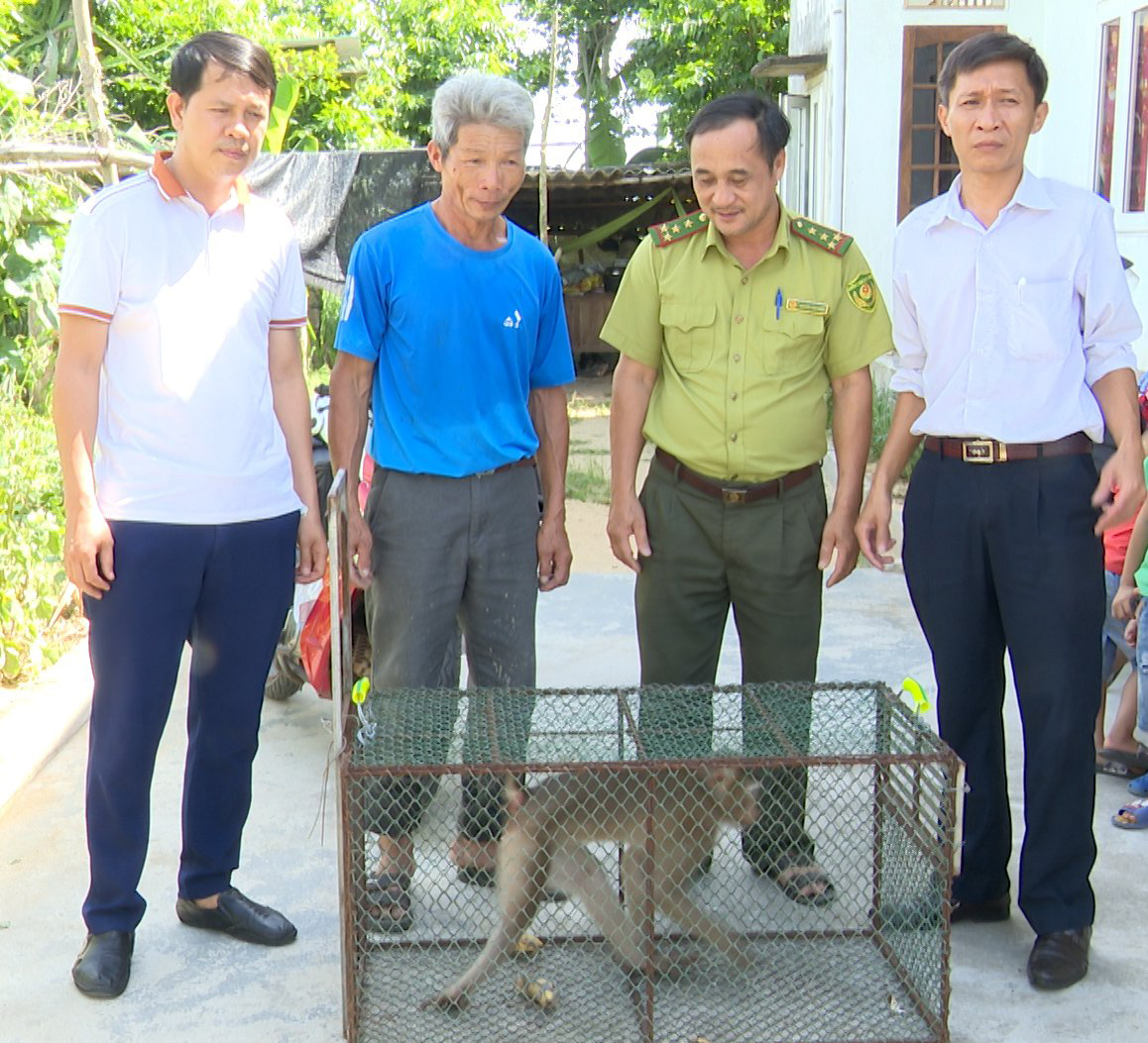 Tiếp nhận động vật hoang dã để chăm sóc, cứu hộ